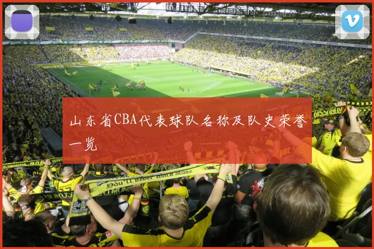 山东省CBA代表球队名称及队史荣誉一览